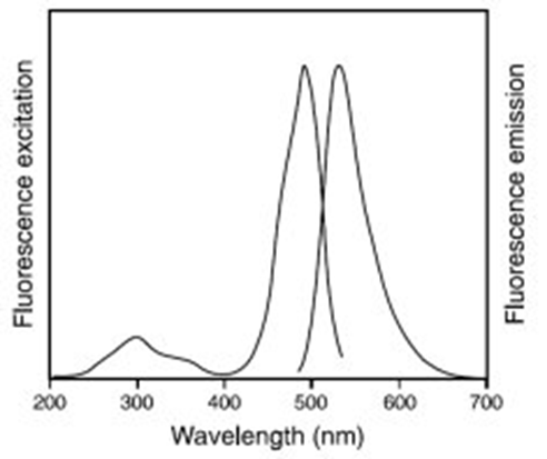 Высокочувствительный краситель ДНК/РНК APGold, 10 000х (аналог SYBR® Gold)